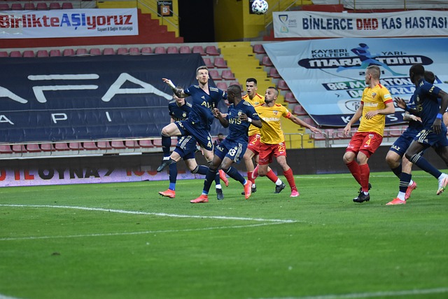 德国则凭借 德国则凭借