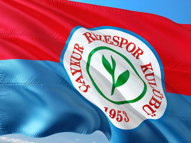 各种数据模 各种数据模