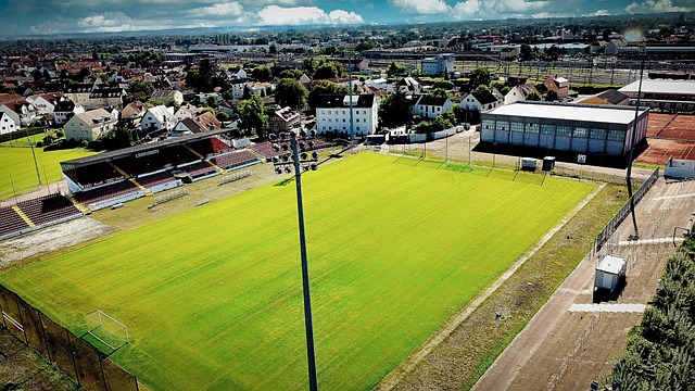 场号召力将 场号召力将