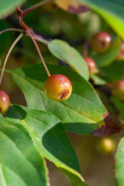 华体会(HTH)·华体会官方网站