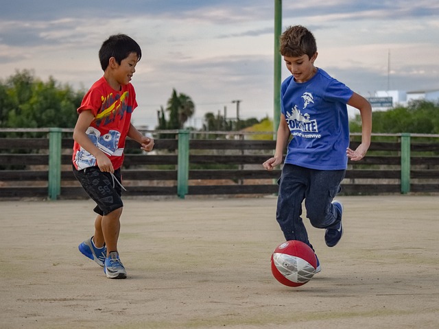 它可能决定 它可能决定