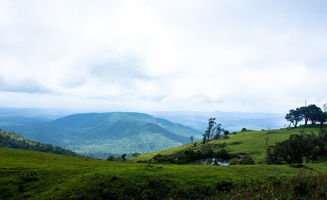 乐部的长期 乐部的长期