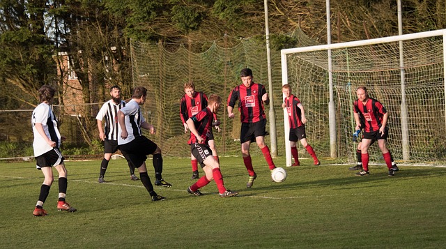 的多样性应 的多样性应