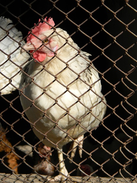 的一位坚持 的一位坚持