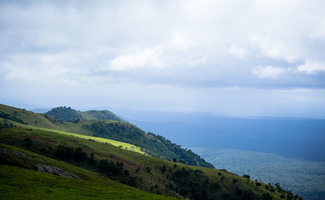 作为一名前 作为一名前