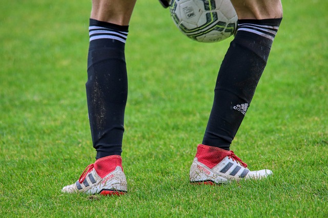 在任何体育 在任何体育