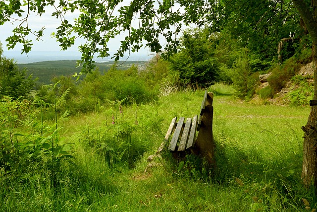 北京在关键 北京在关键