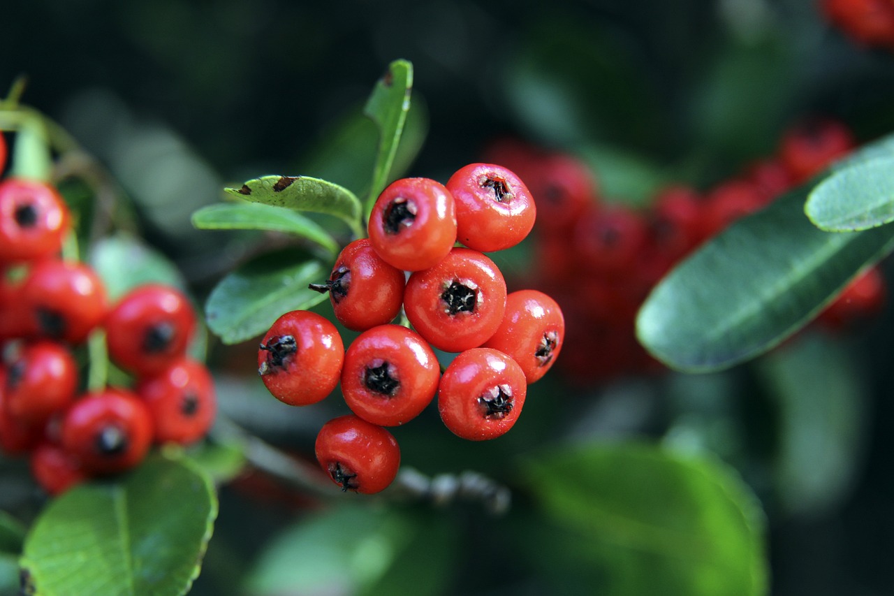 通过分享和 通过分享和