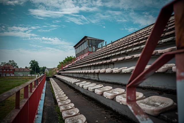 运动员的价 运动员的价