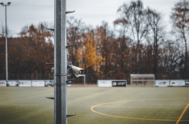 但他的真實 但他的真實