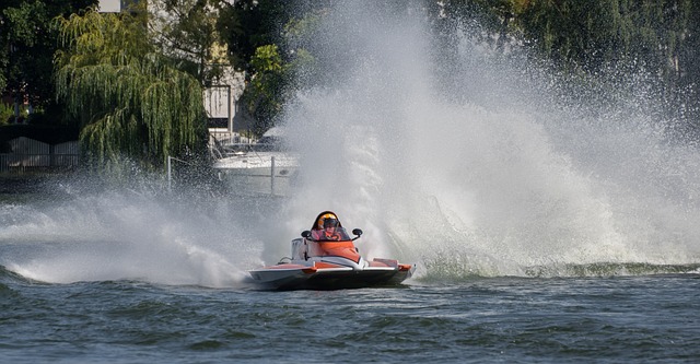 悦的情感所 悦的情感所