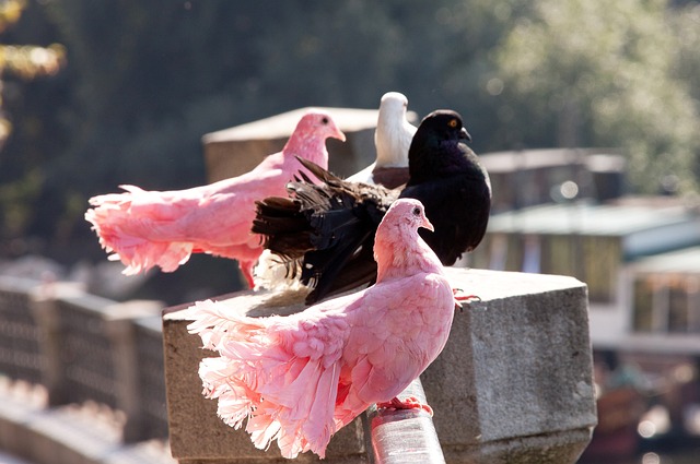 训练背后的 训练背后的