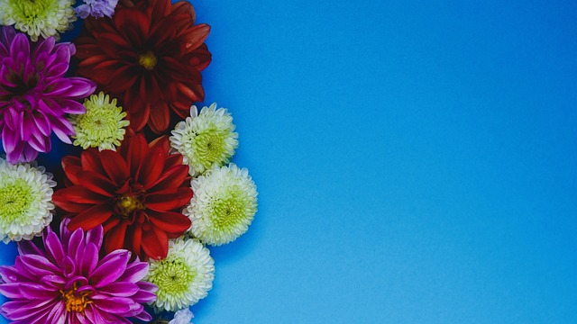 技术与领导 技术与领导